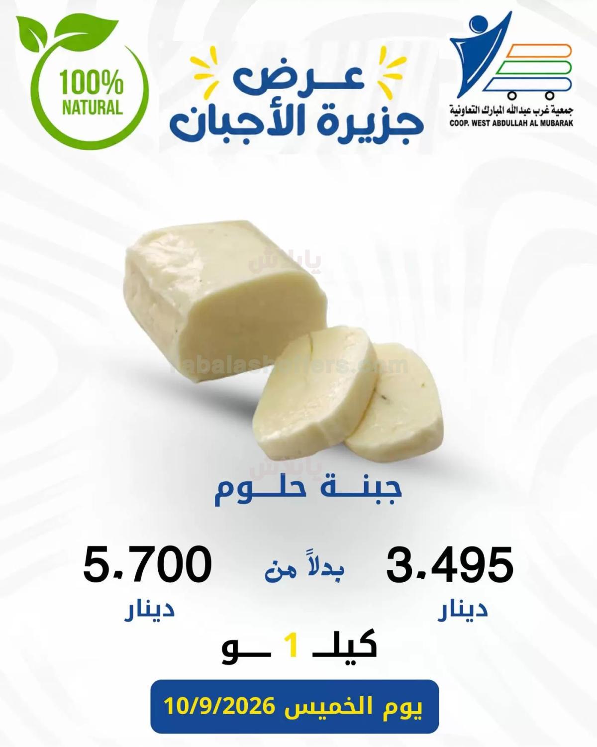 صفحة 11