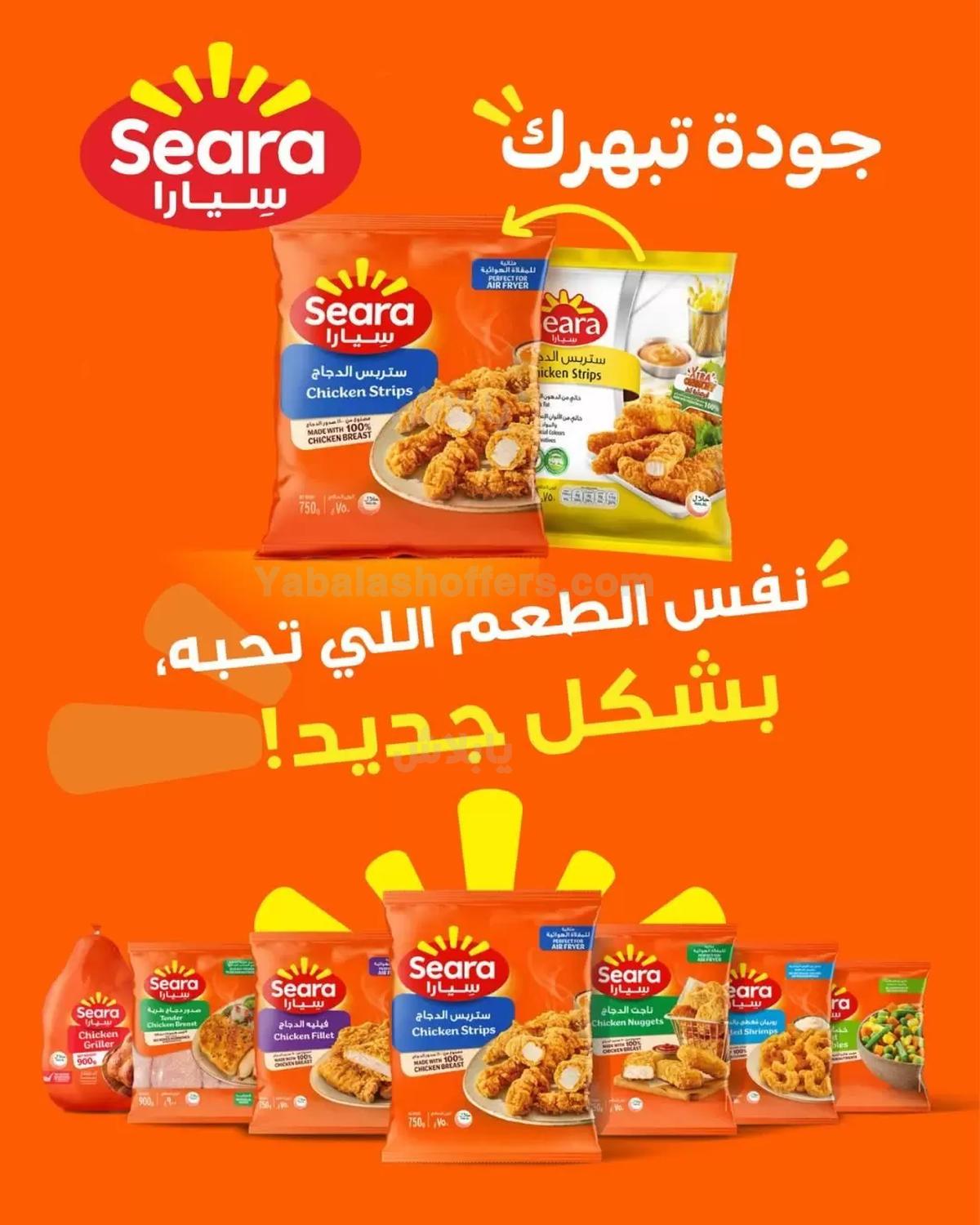 صفحة 8