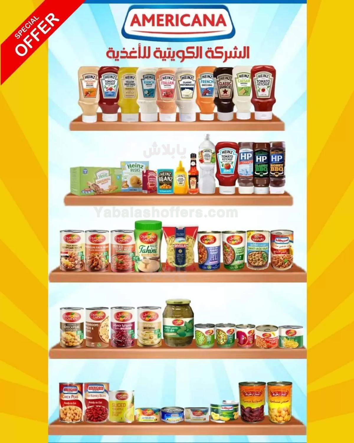 صفحة 20