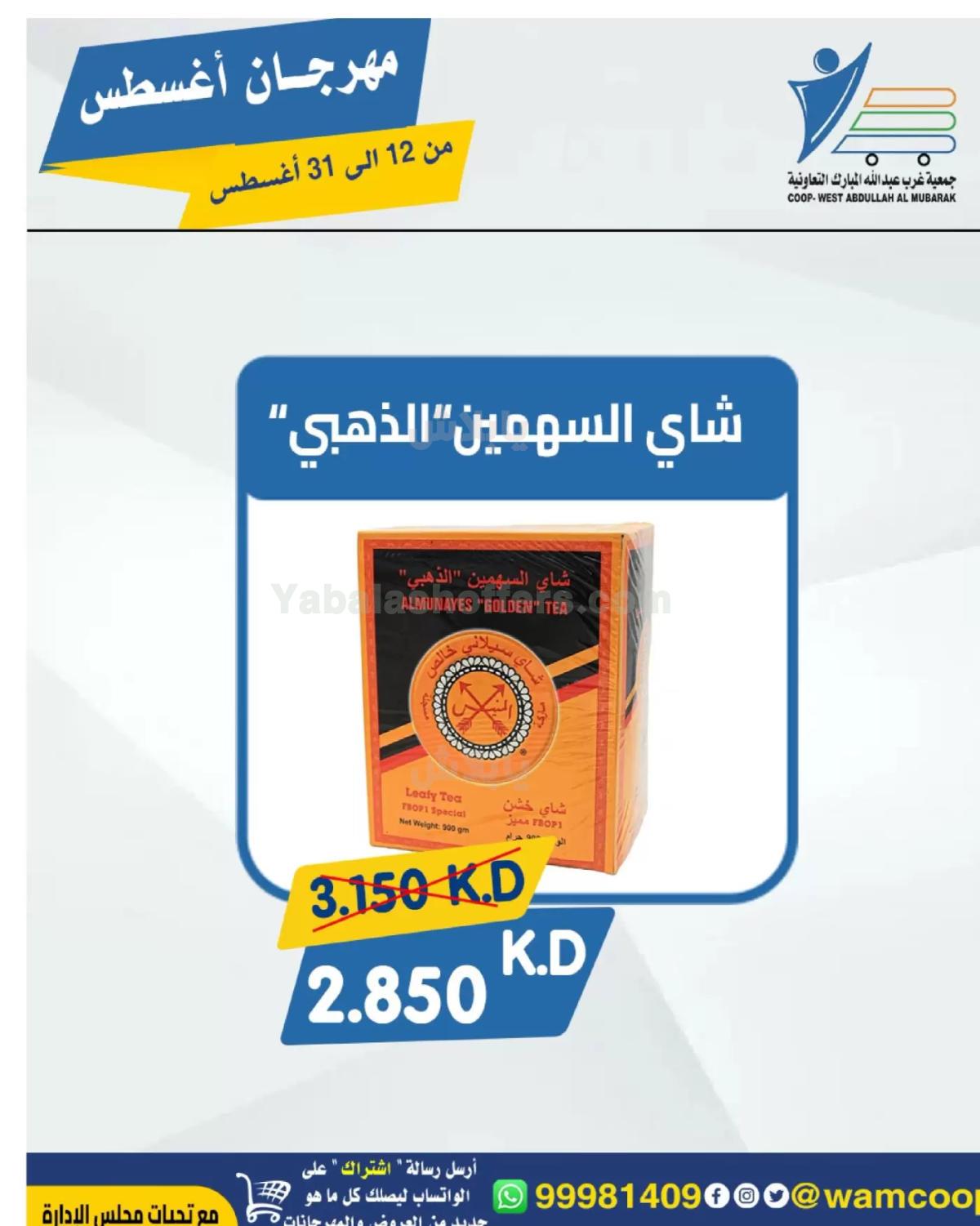 صفحة 13