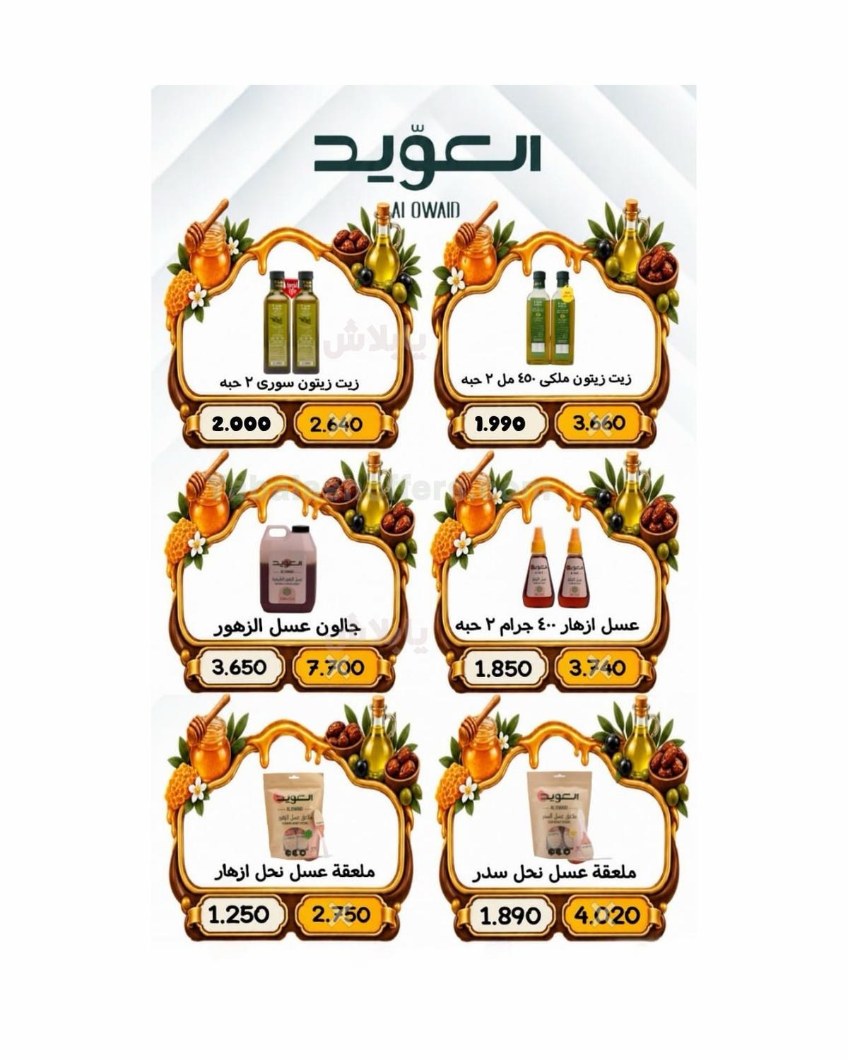 صفحة 21