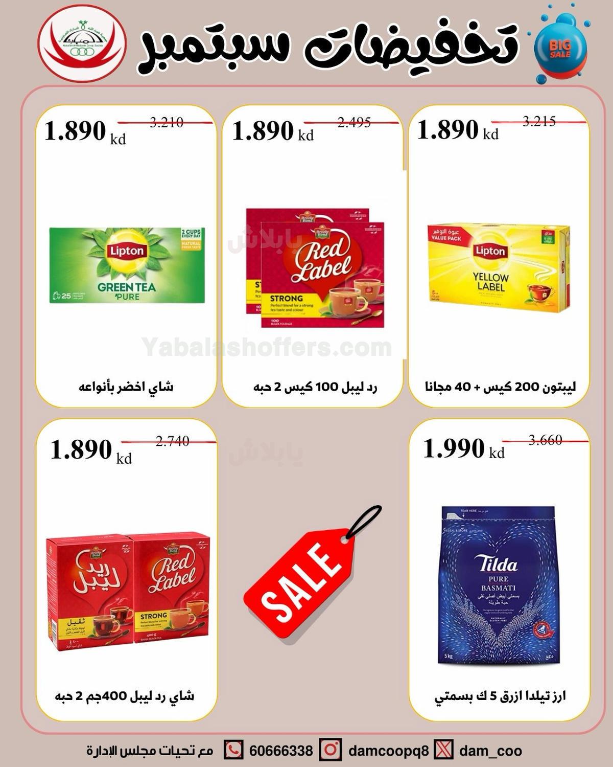 صفحة 29