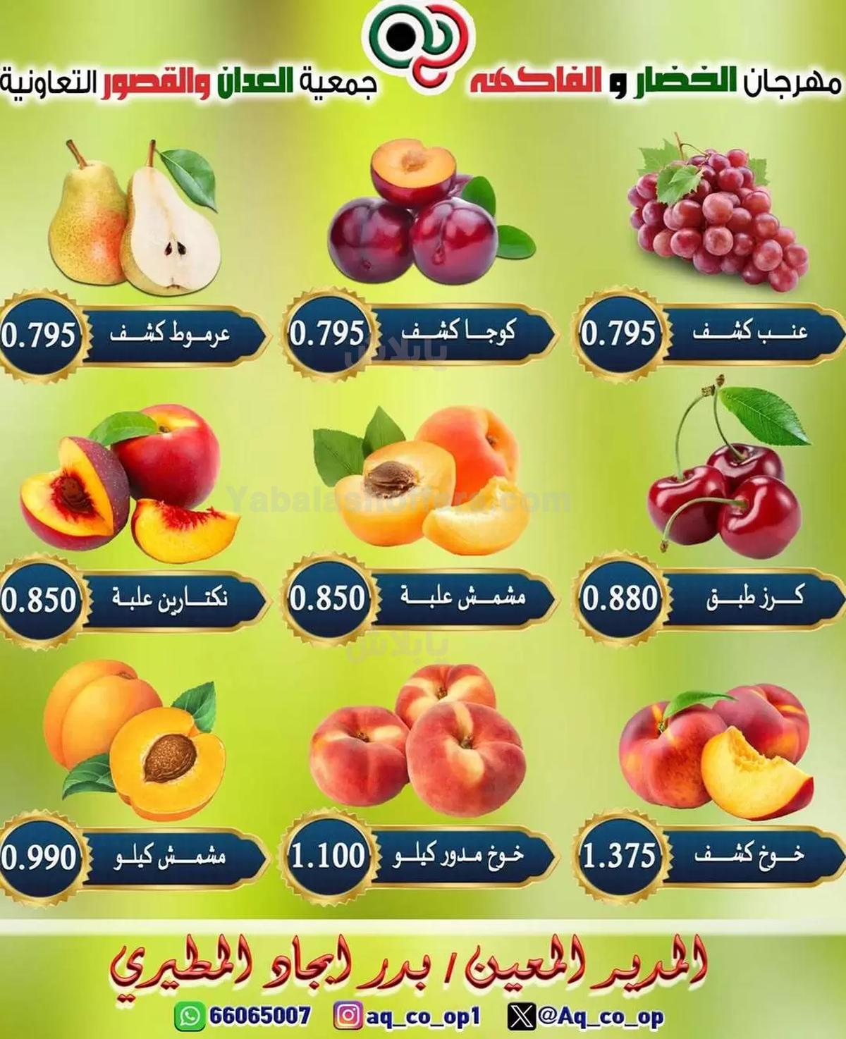 صفحة 4