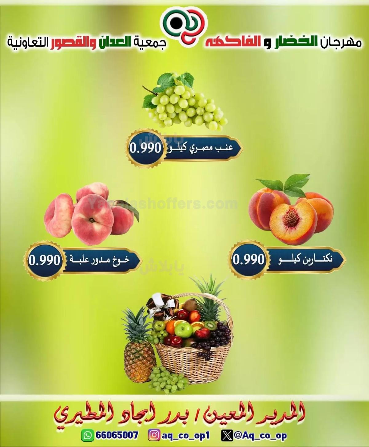 صفحة 5