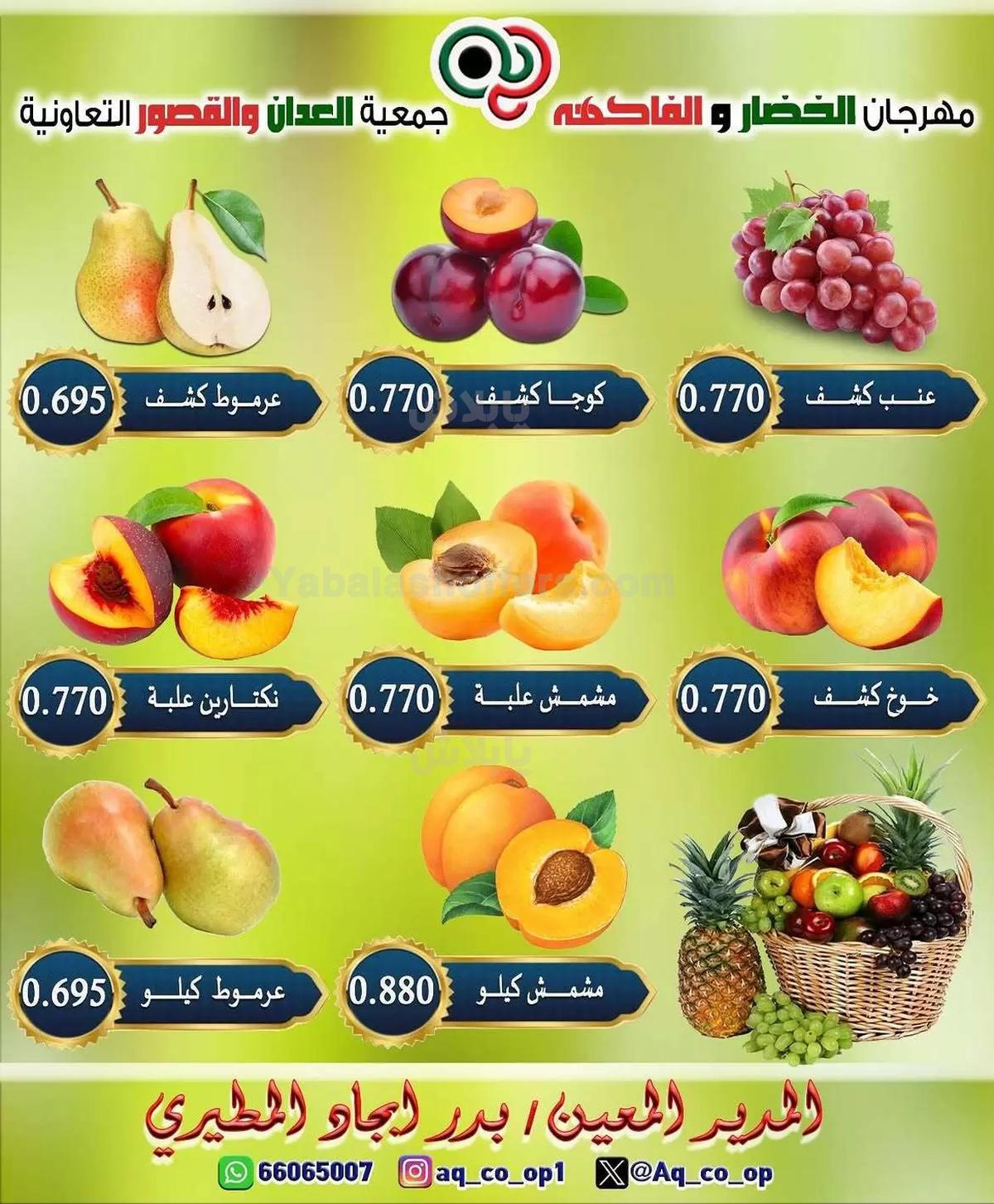صفحة 3