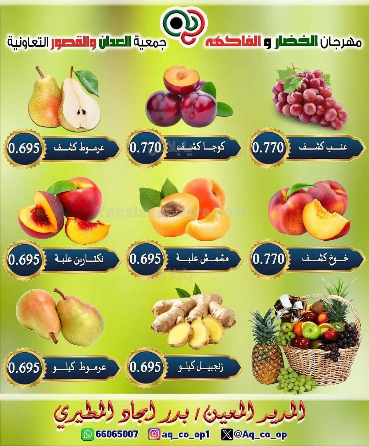 صفحة 4