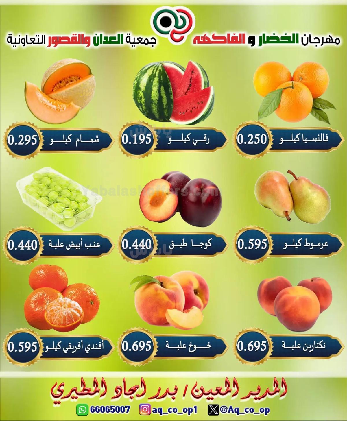 صفحة 4