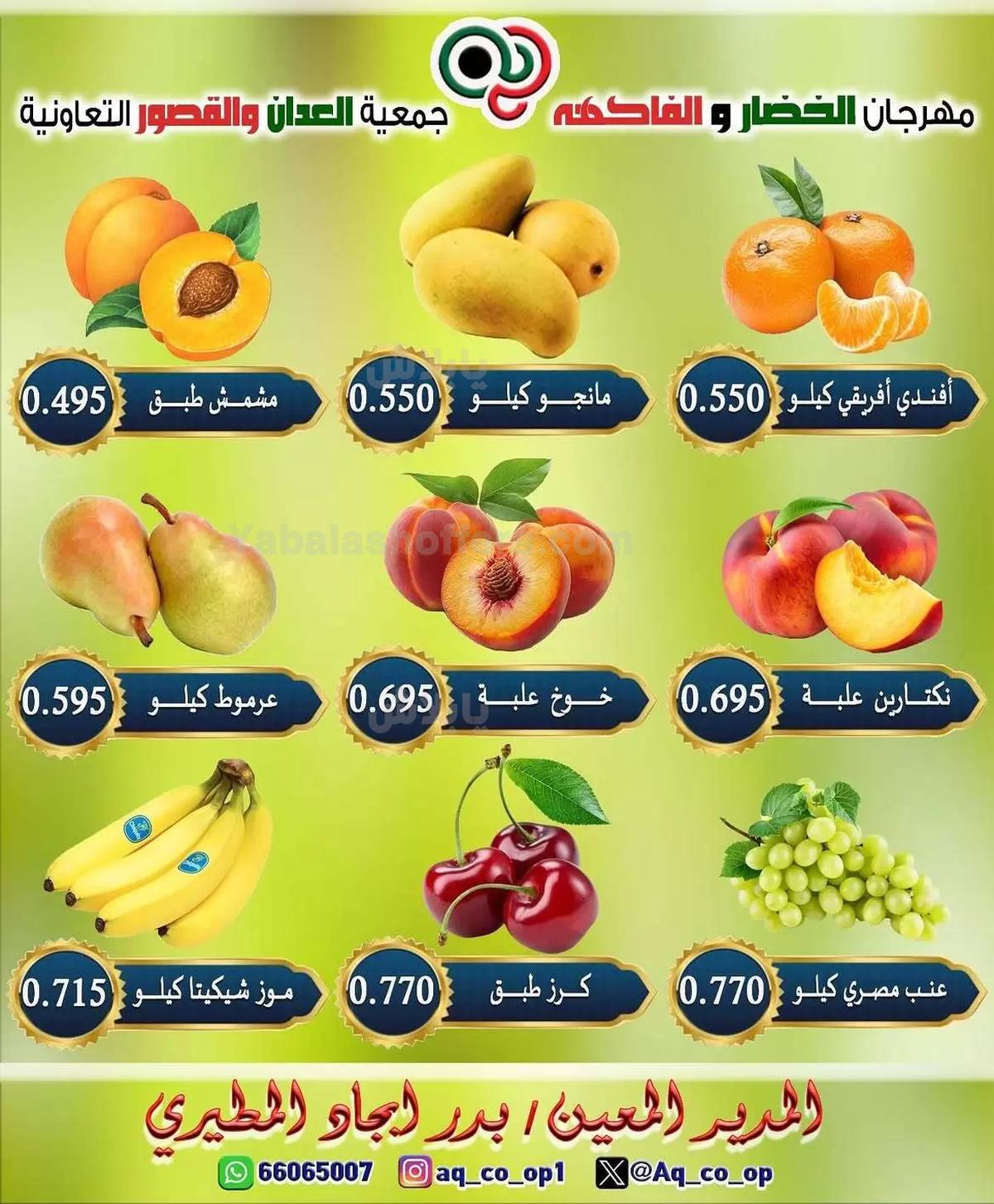 صفحة 3