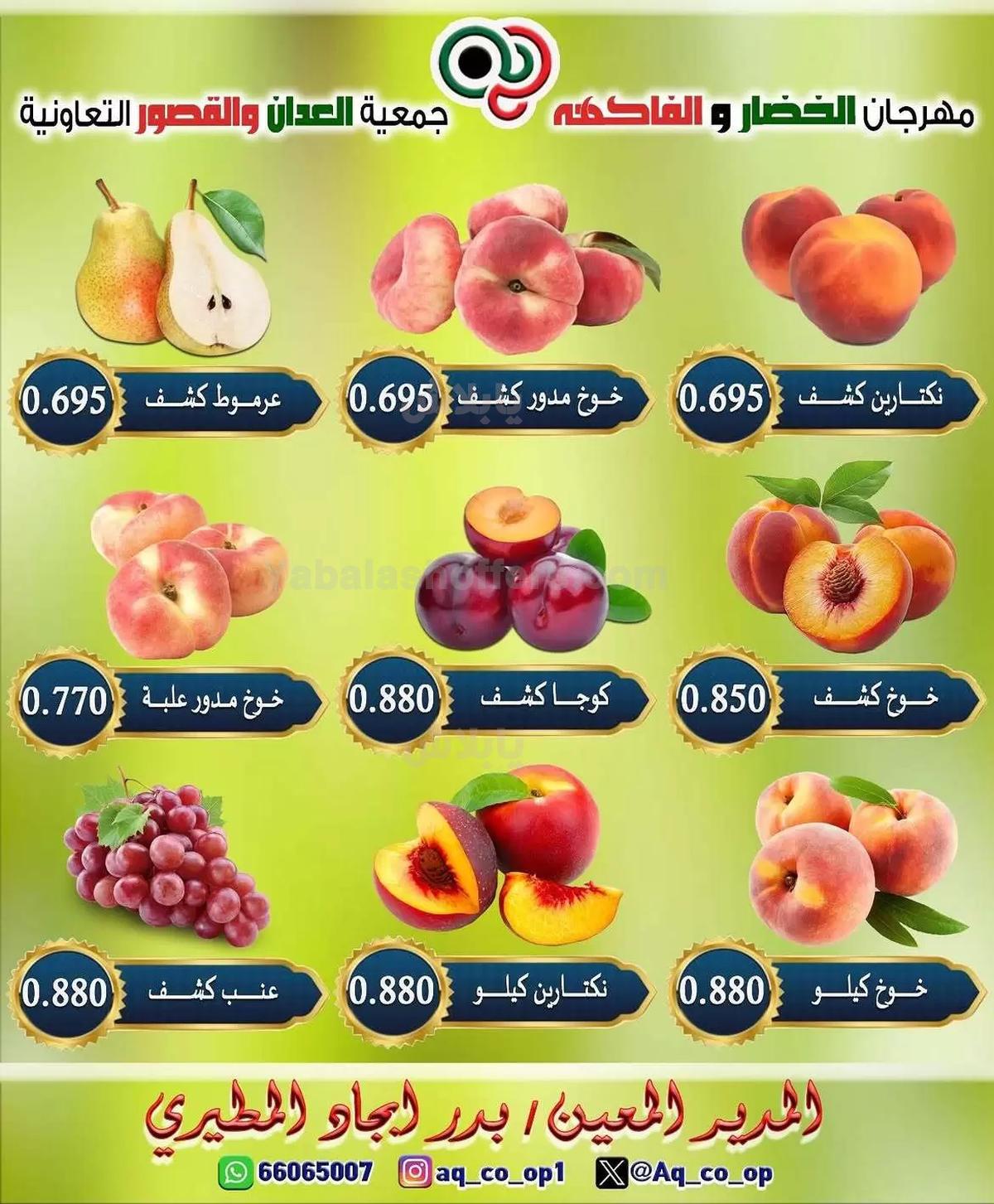 صفحة 5