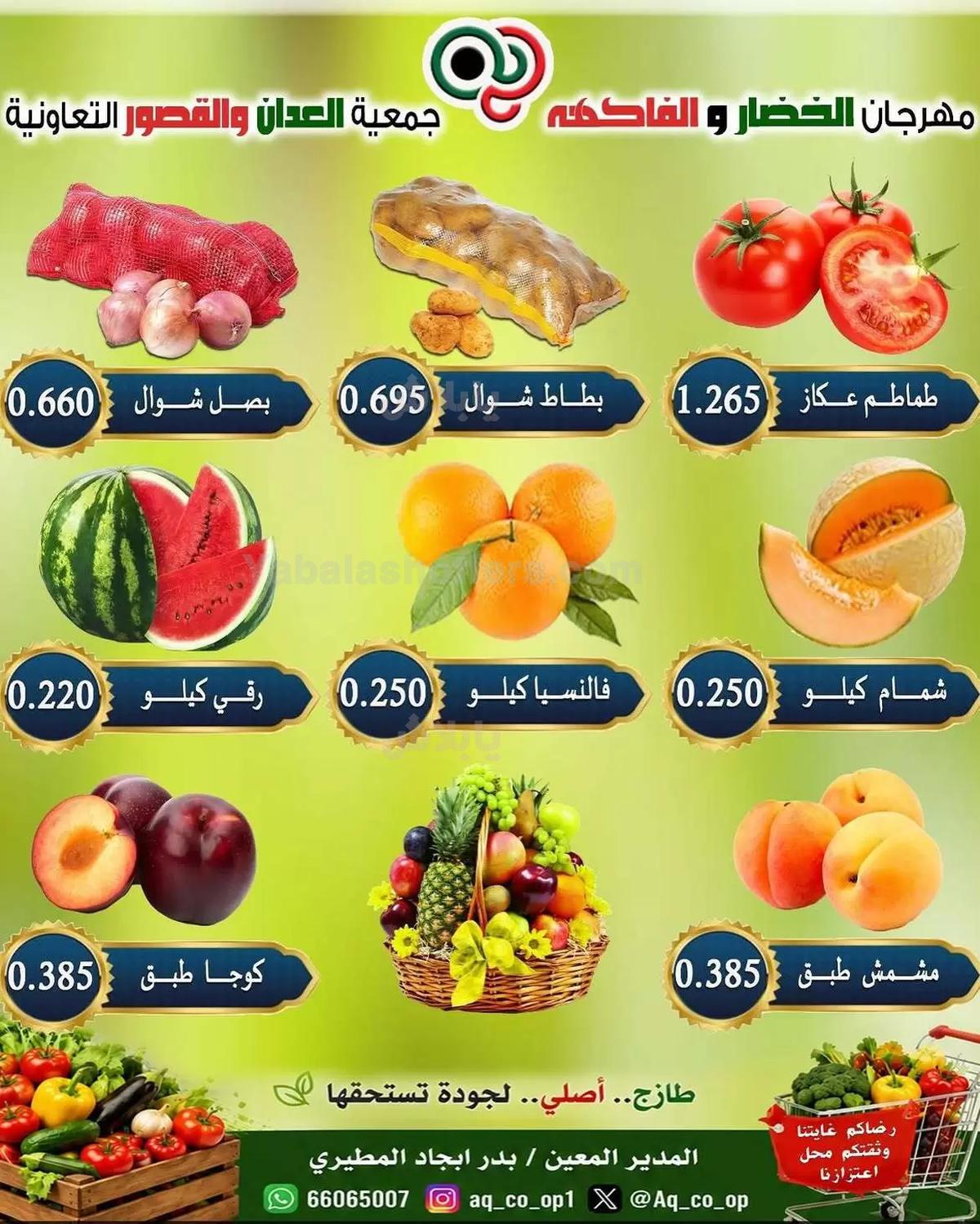 صفحة 3