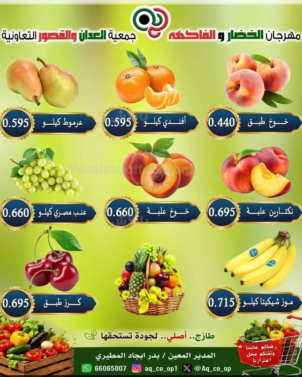 صفحة 4