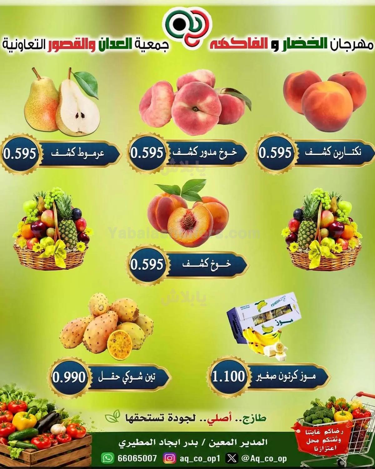 صفحة 5