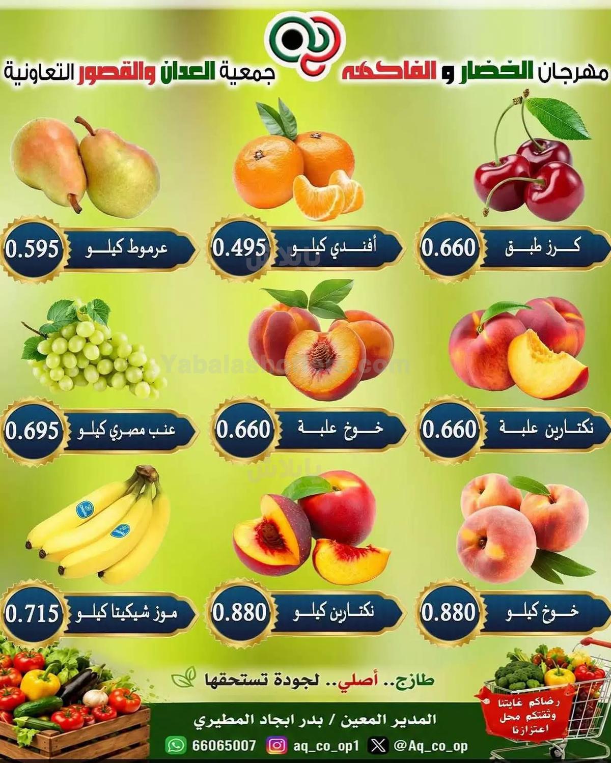 صفحة 3