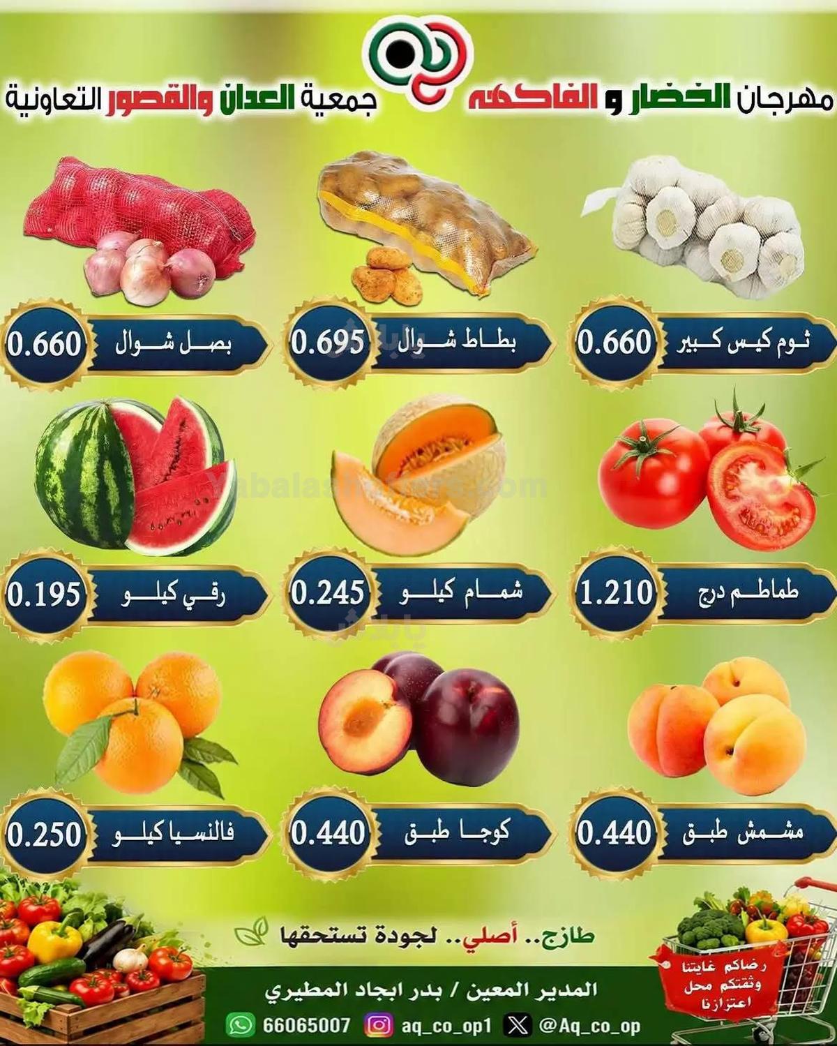 صفحة 4