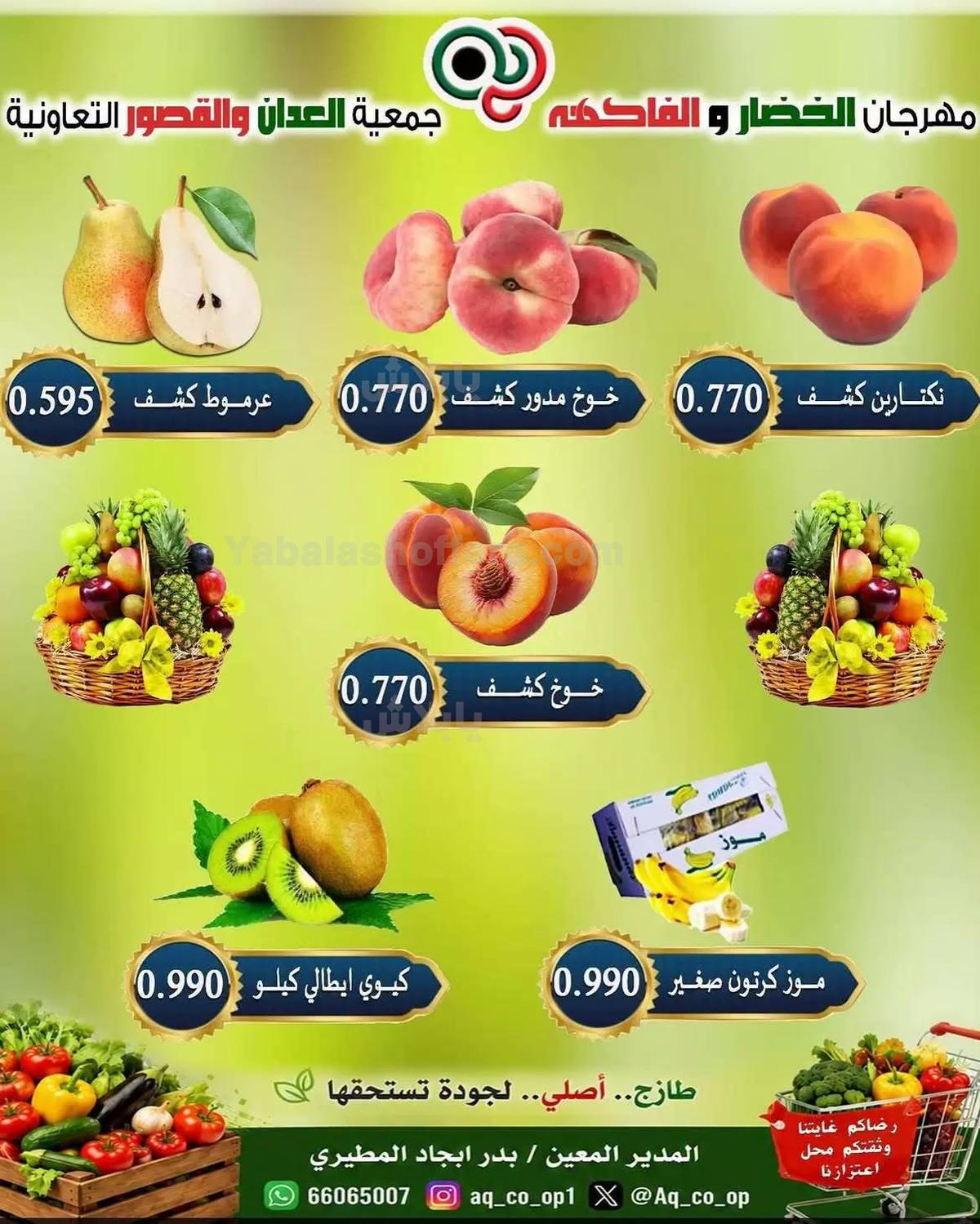 صفحة 5