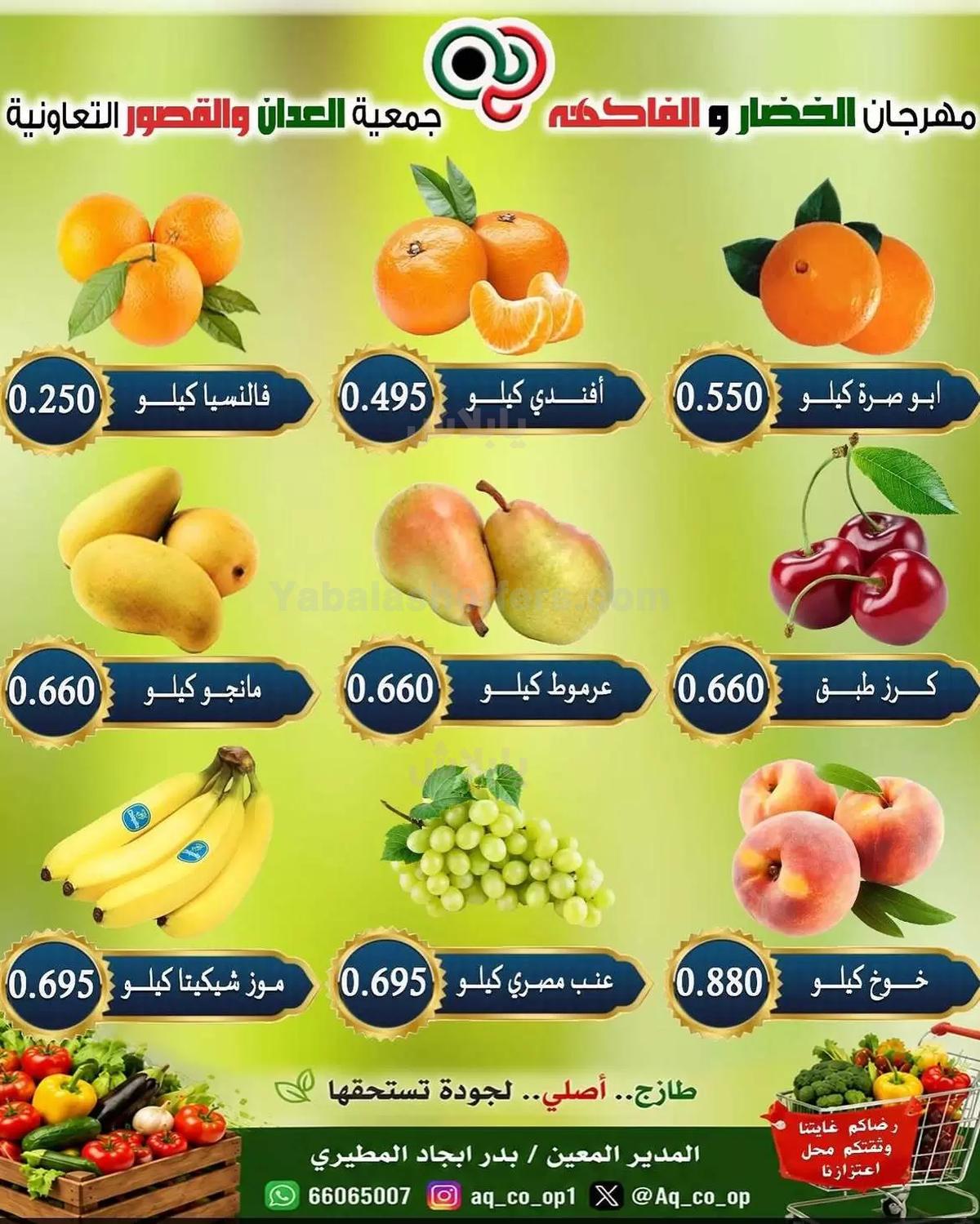 صفحة 3