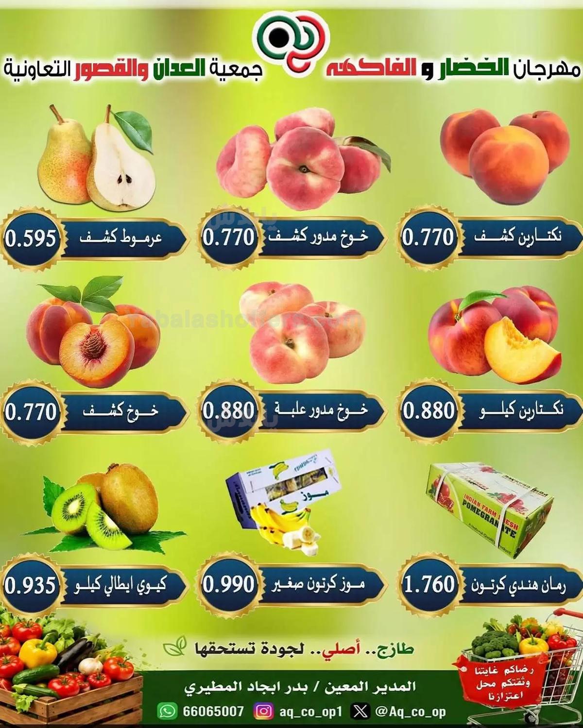 صفحة 4
