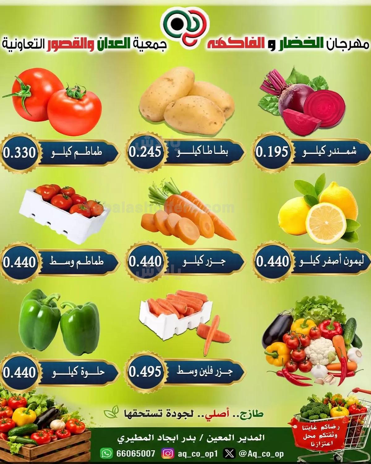 صفحة 2