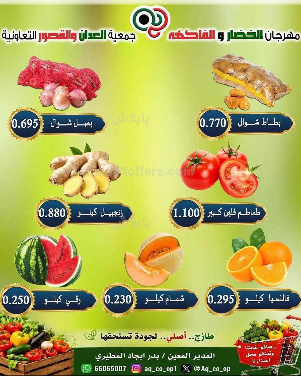 صفحة 3