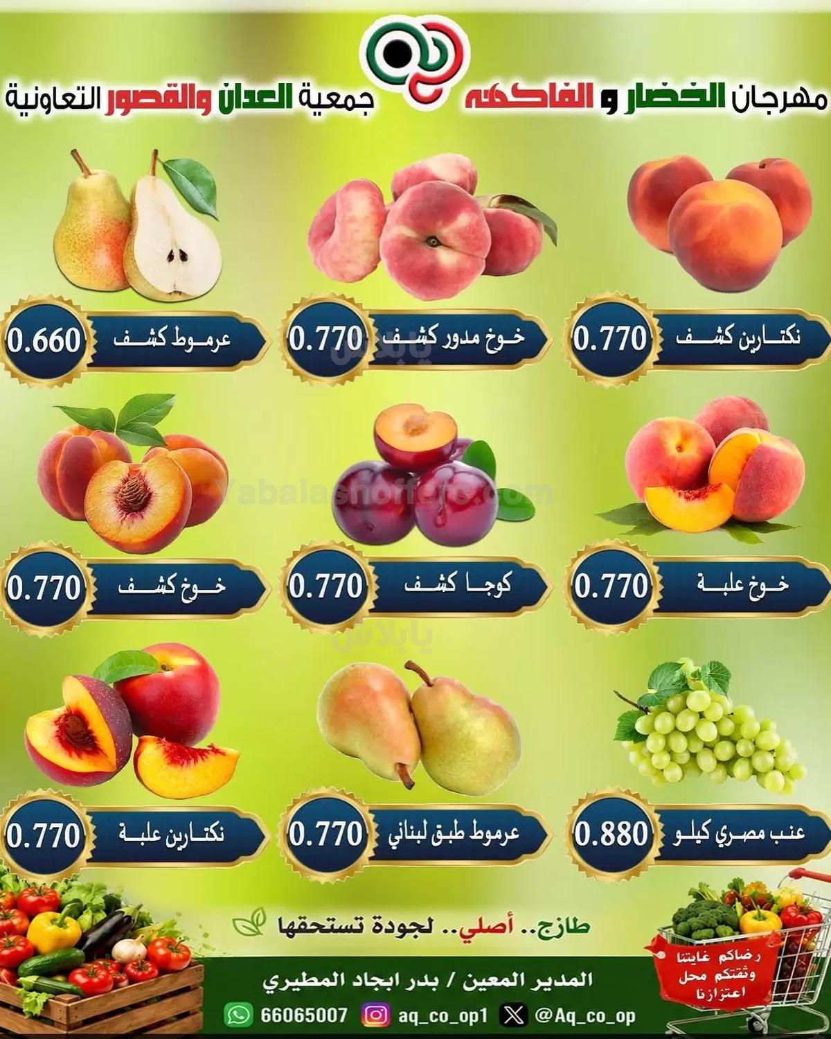 صفحة 5