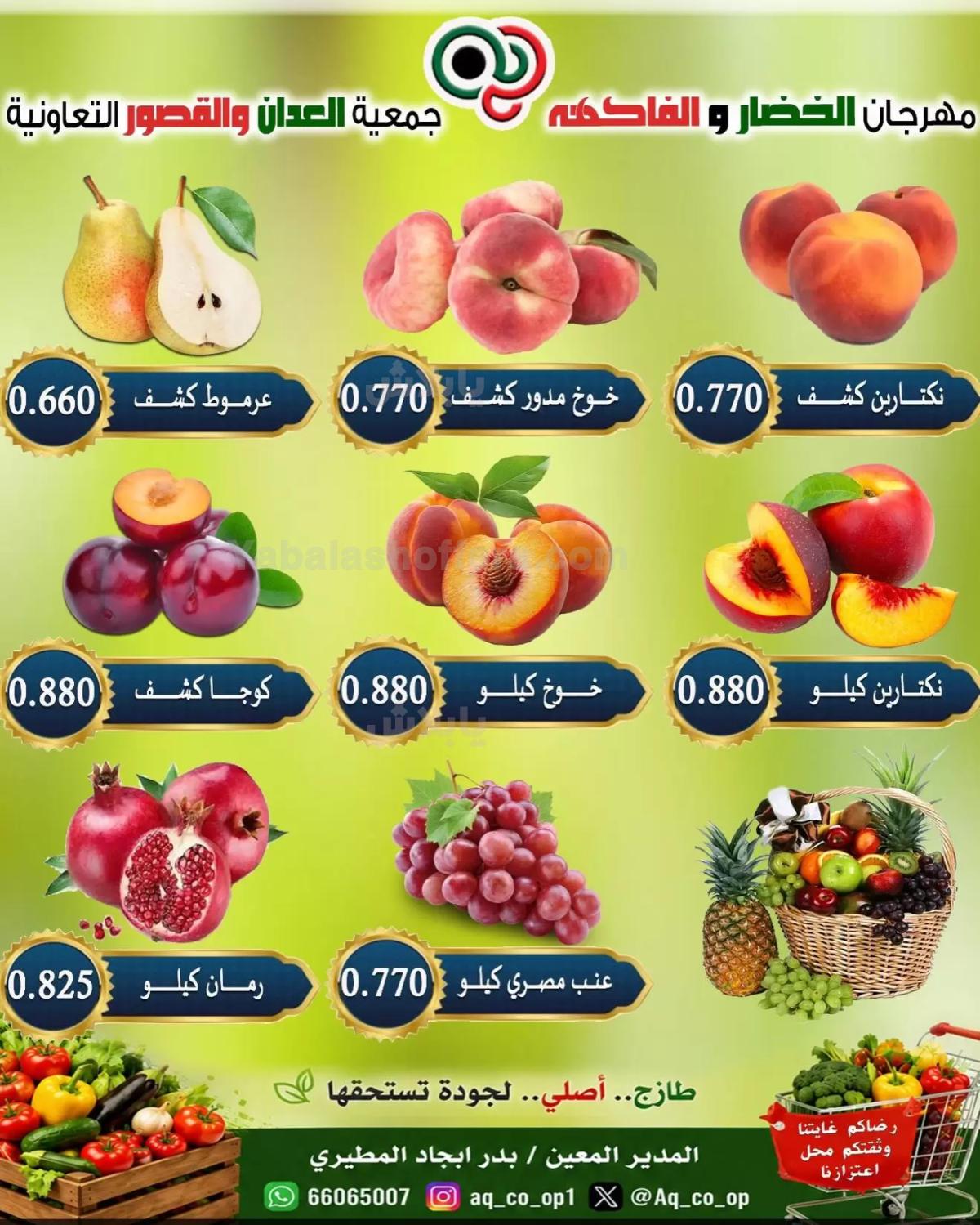 صفحة 4