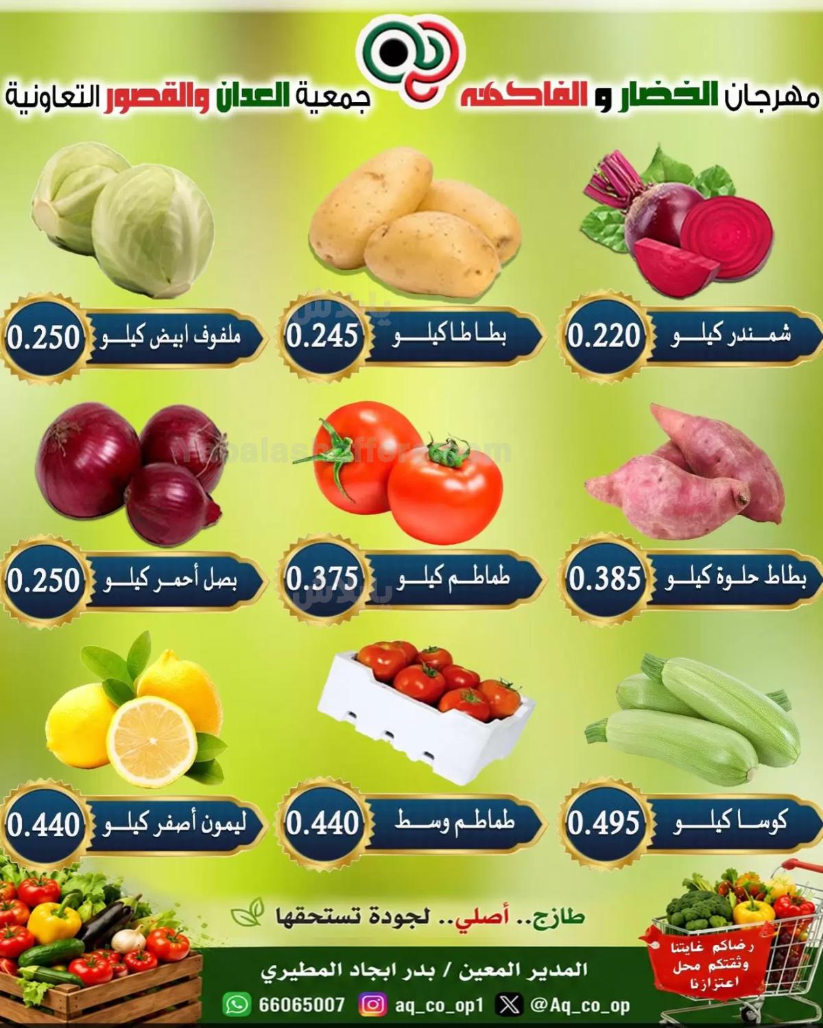صفحة 2