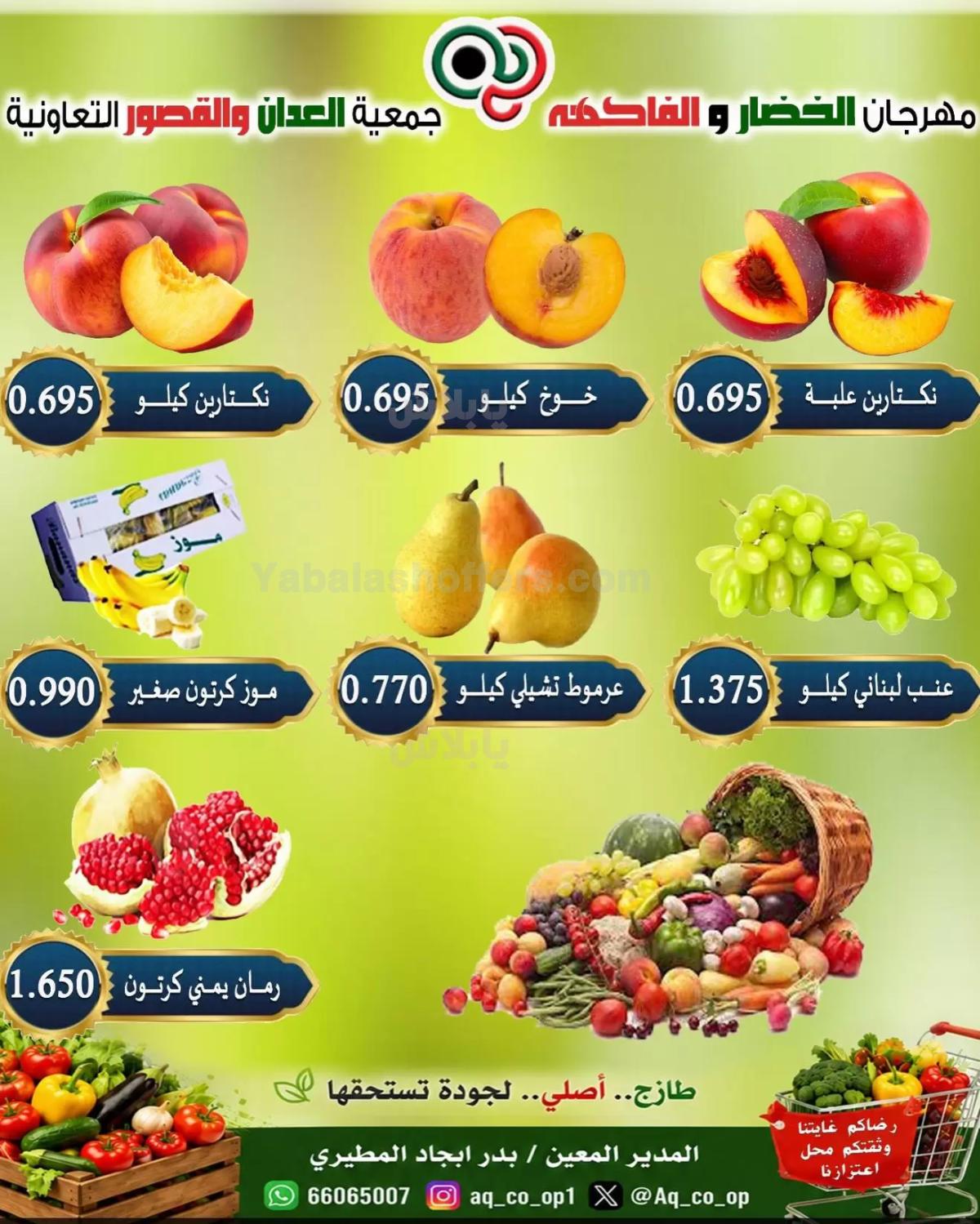 صفحة 4
