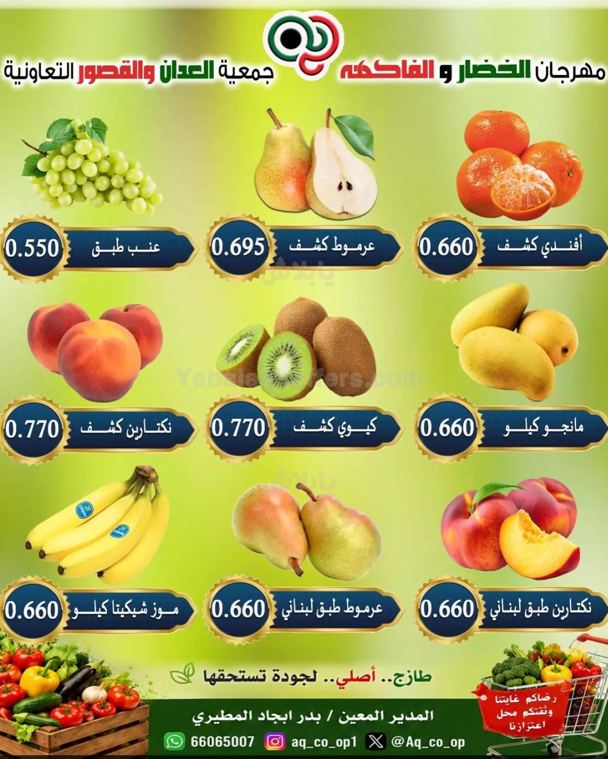 صفحة 5