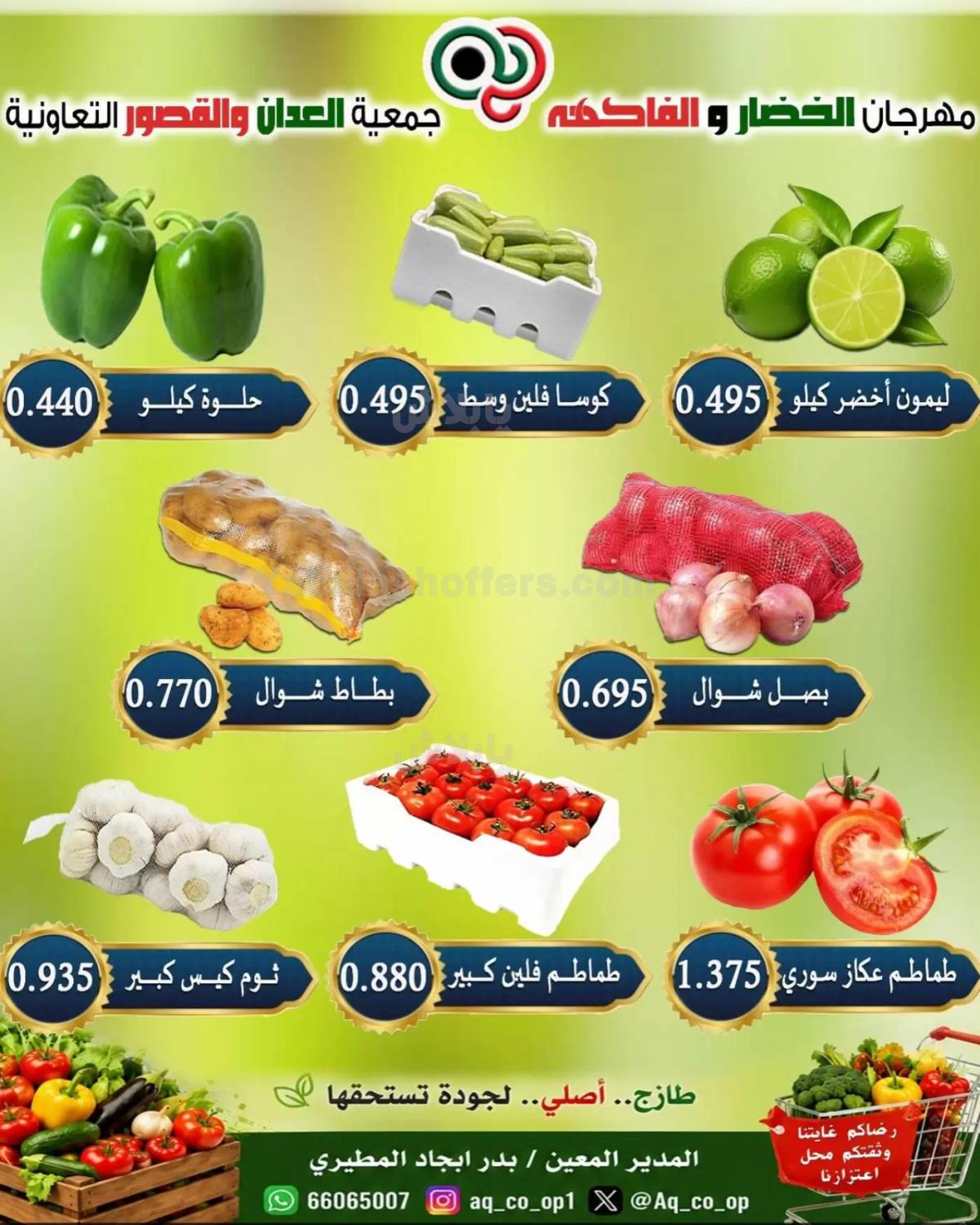صفحة 3