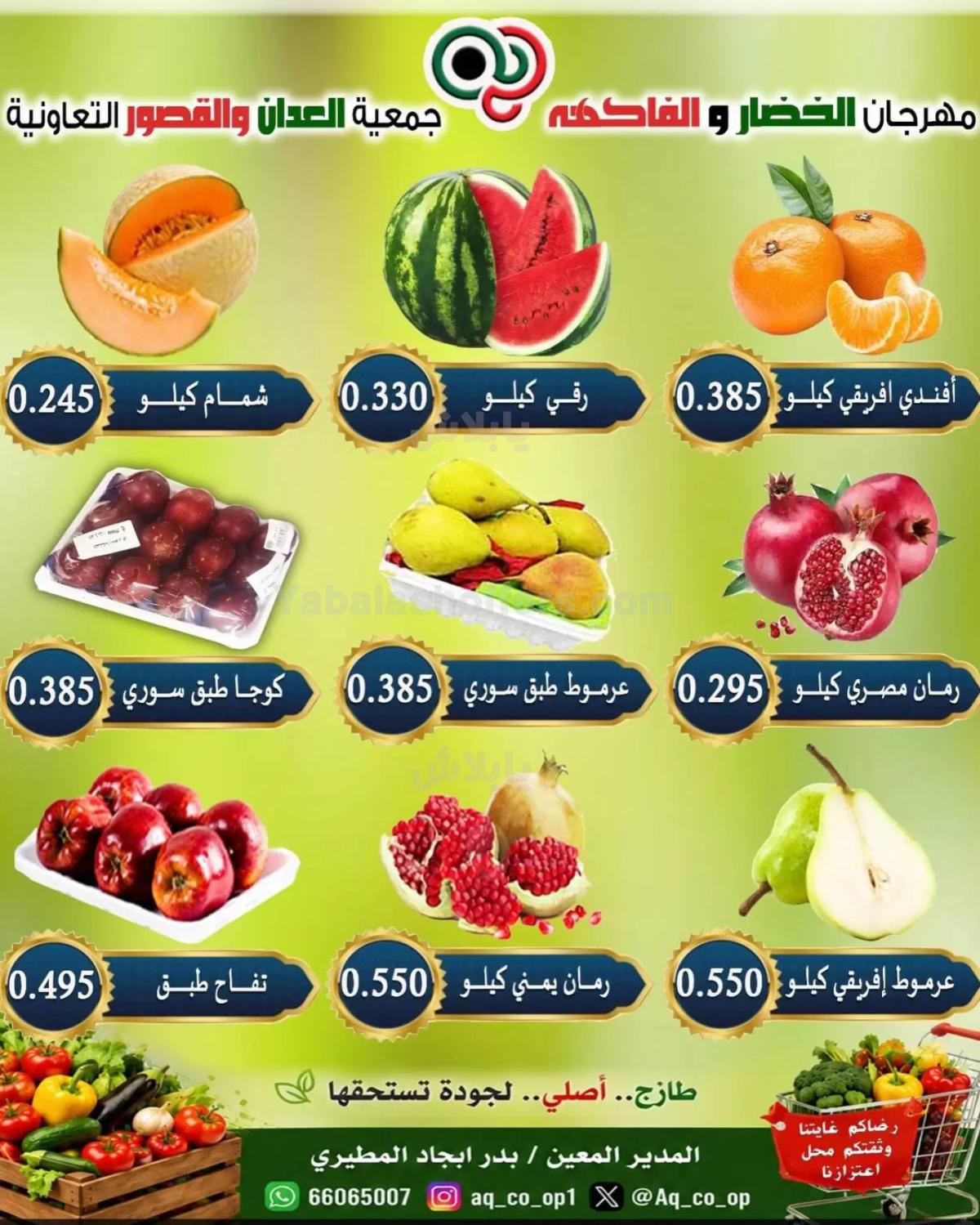 صفحة 4