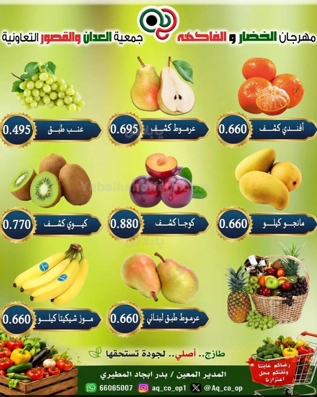 صفحة 5