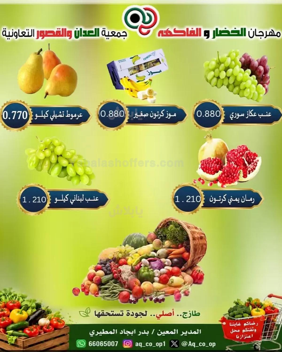 صفحة 3
