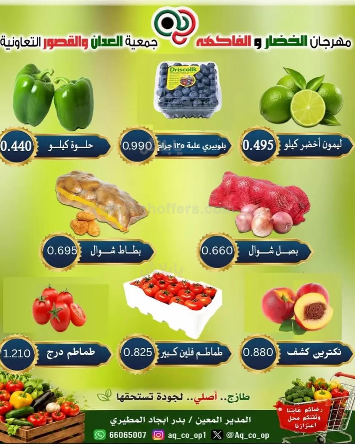 صفحة 4