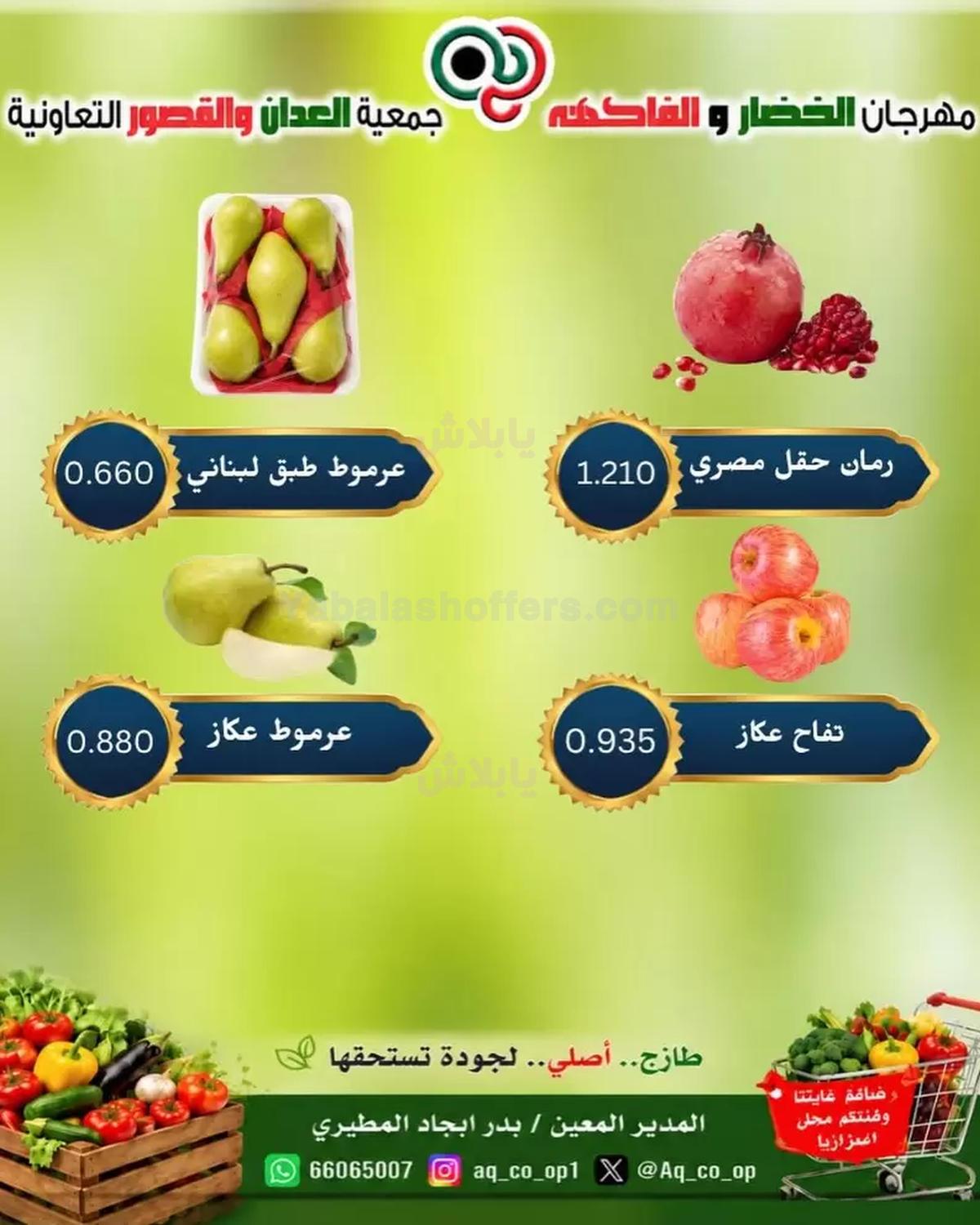 صفحة 7