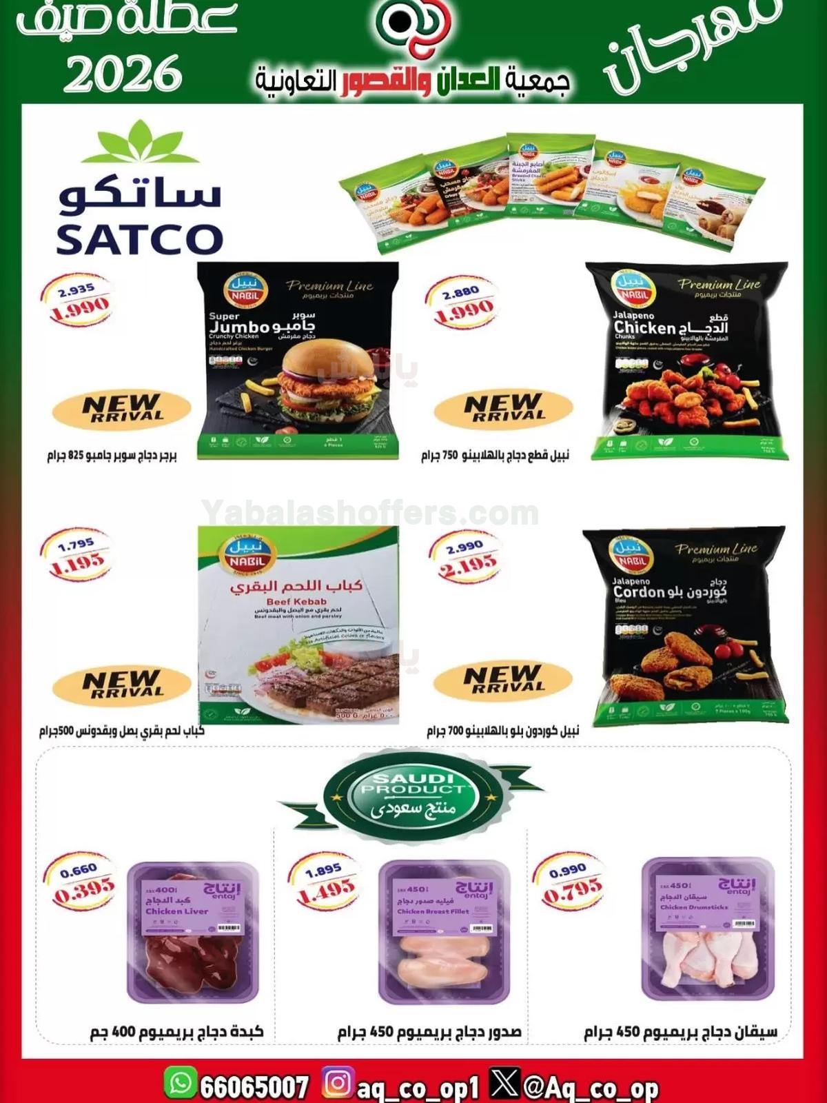 صفحة 11