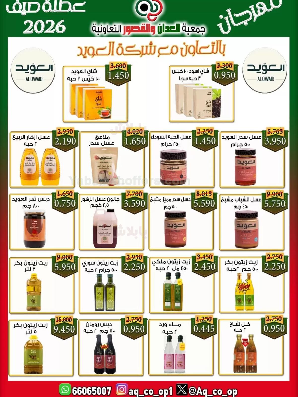 صفحة 19