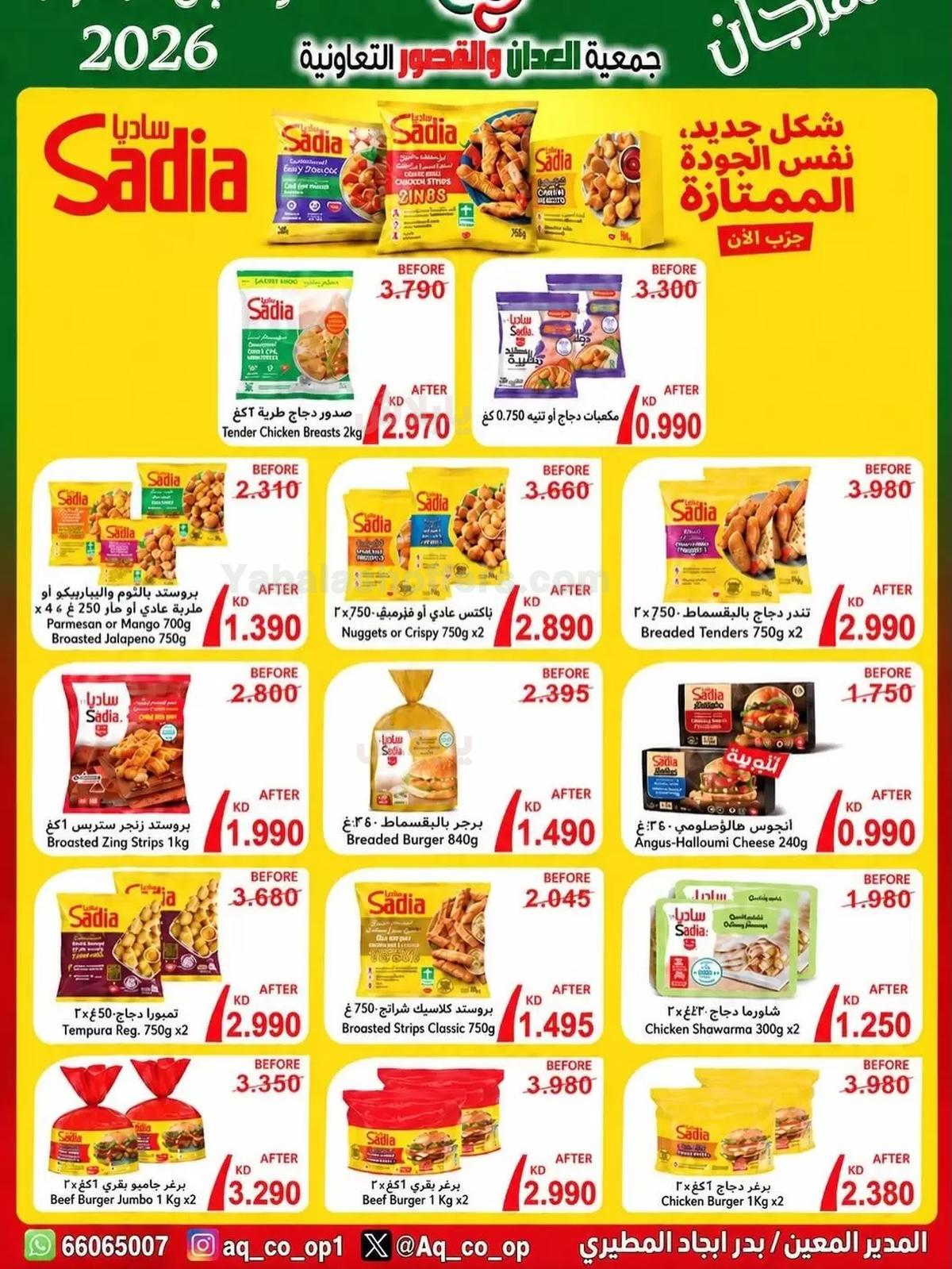 صفحة 2