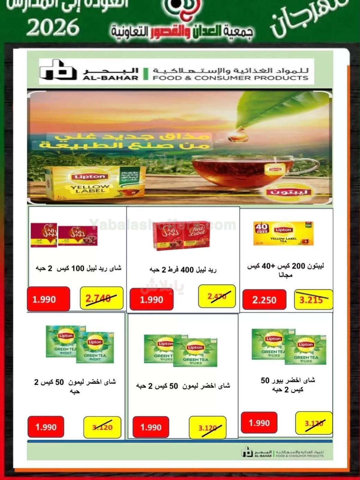 صفحة 10