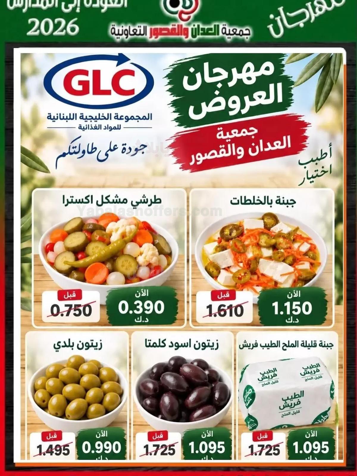صفحة 17