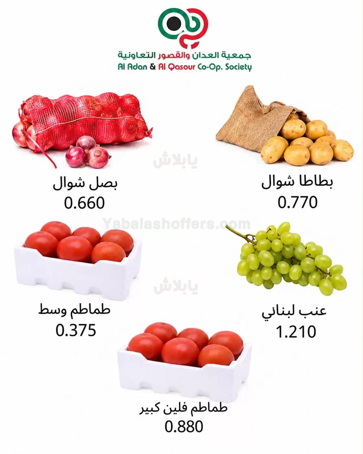 صفحة 3