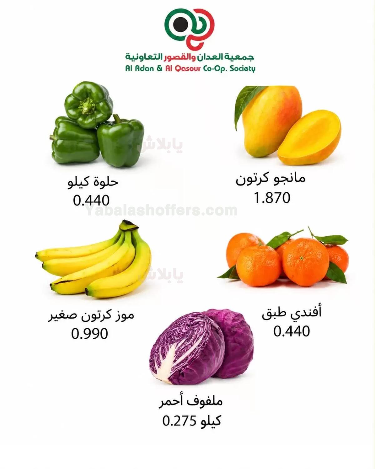 صفحة 4