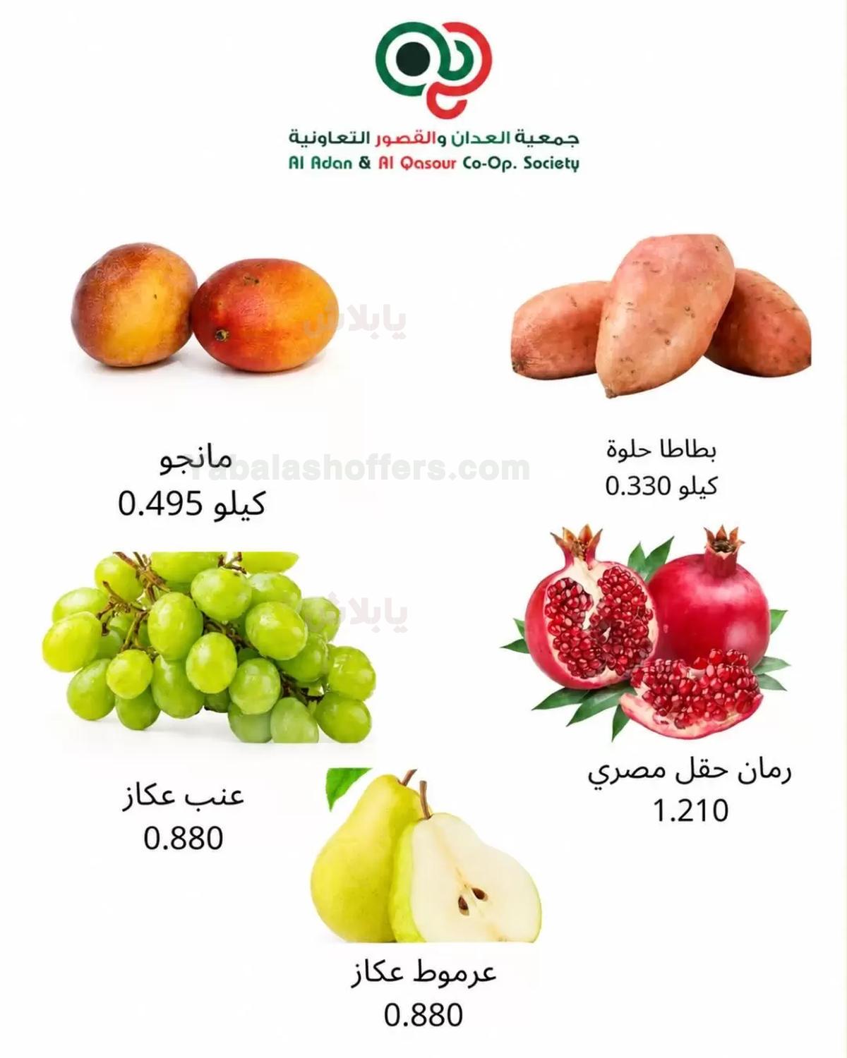 صفحة 9