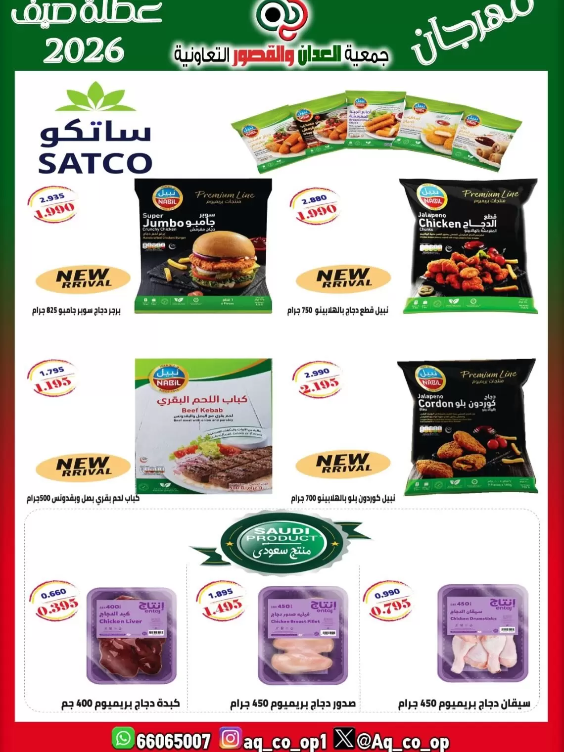 صفحة 11