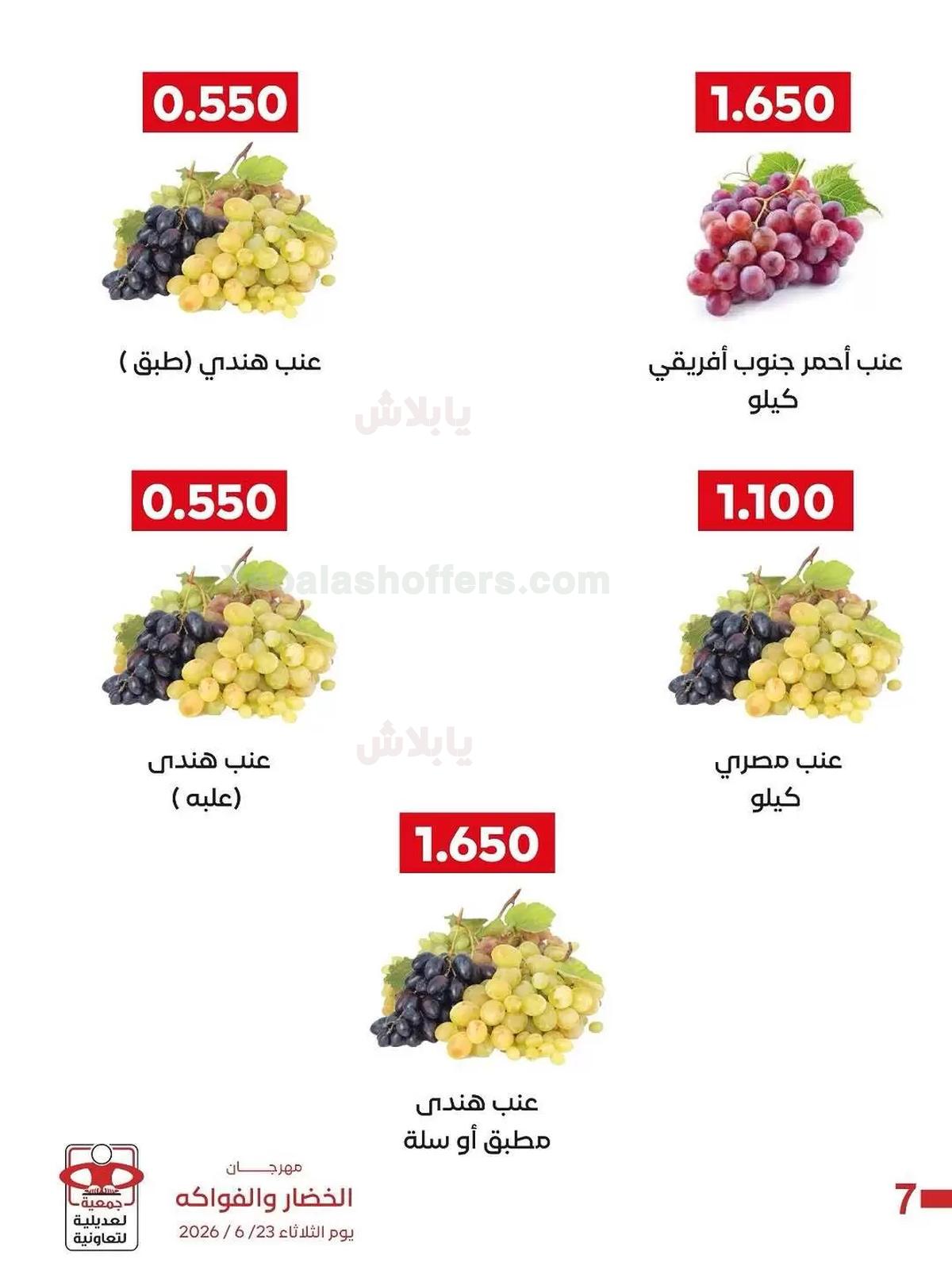 صفحة 7