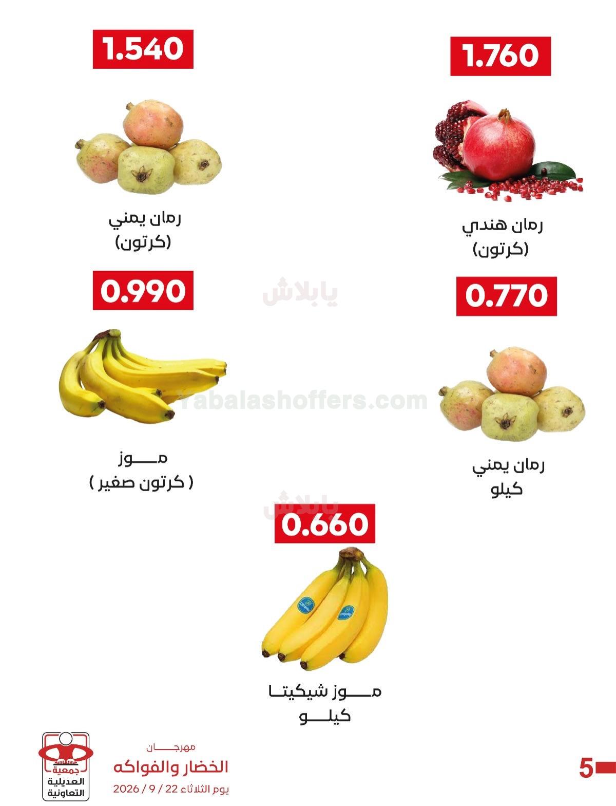 صفحة 4