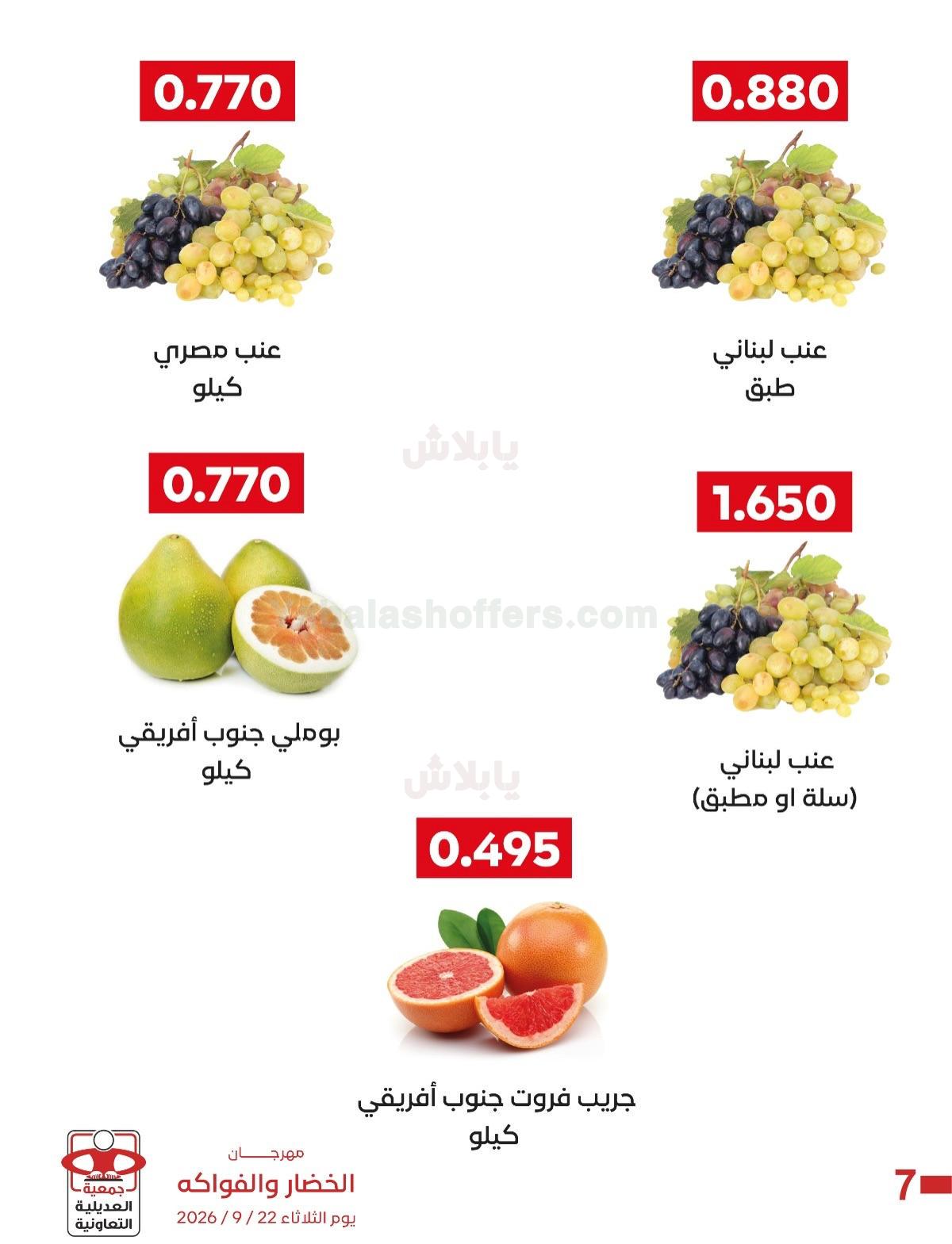 صفحة 8