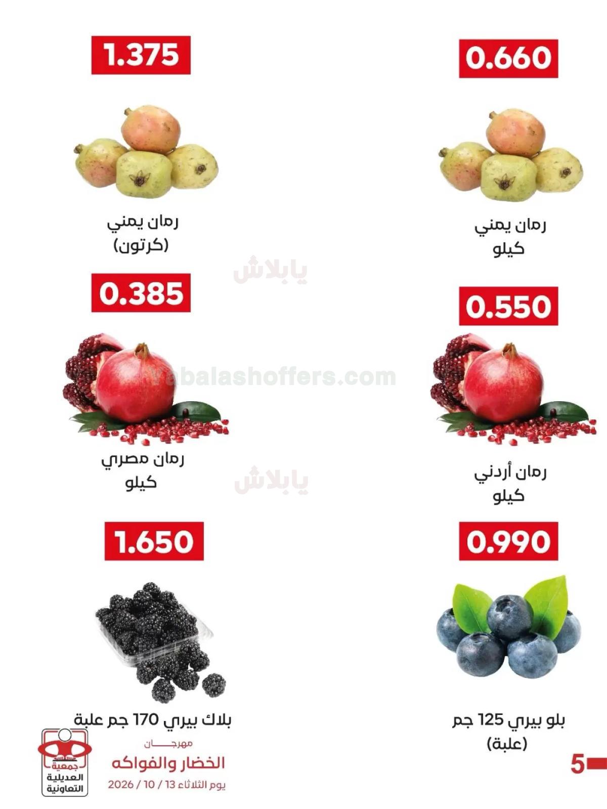 صفحة 3