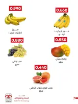 صفحة 17