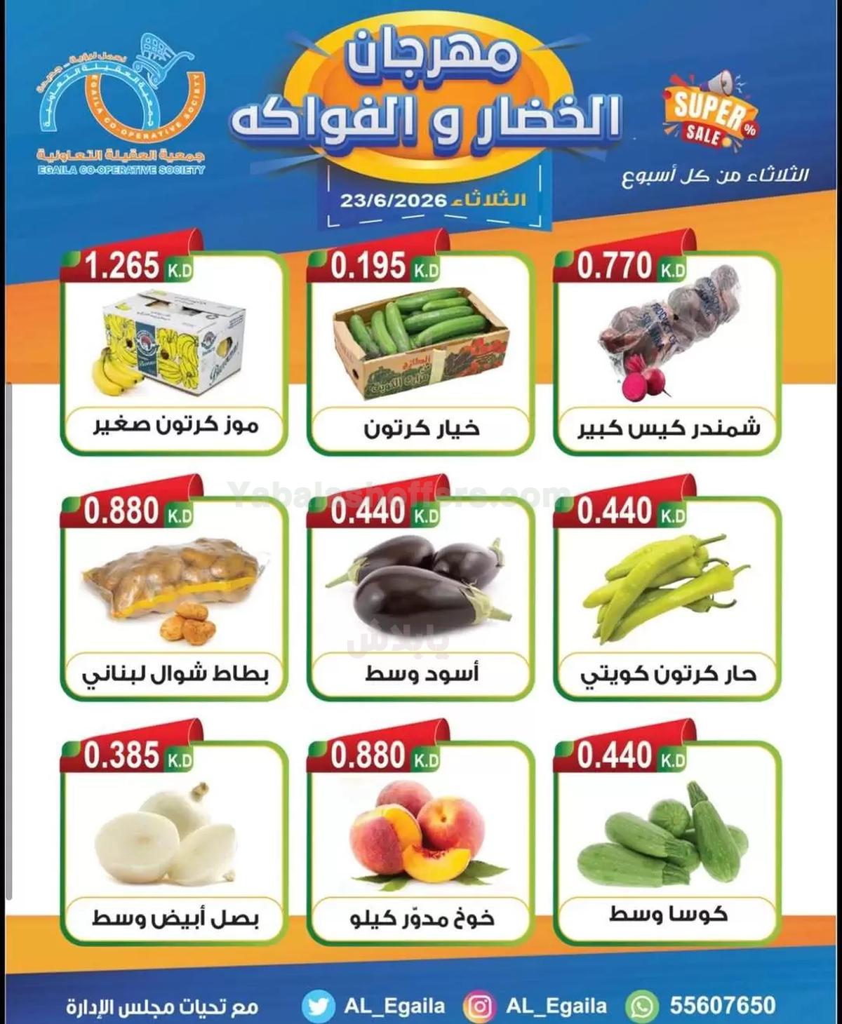 صفحة 4