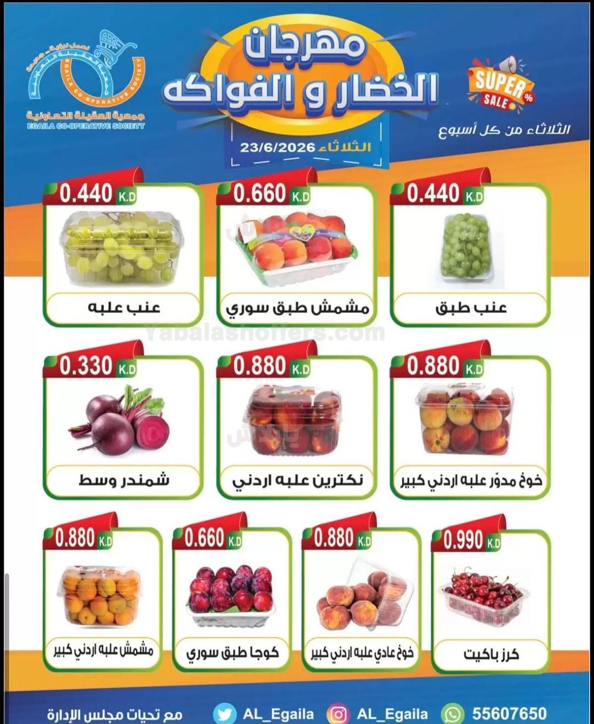 صفحة 5